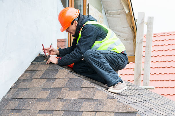 Best Roof Gutter Cleaning  in Ashtabula, OH
